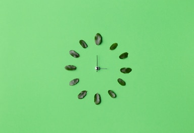 Green screen timer