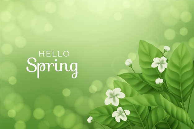 Free vector realistic spring background with flowers and leaves